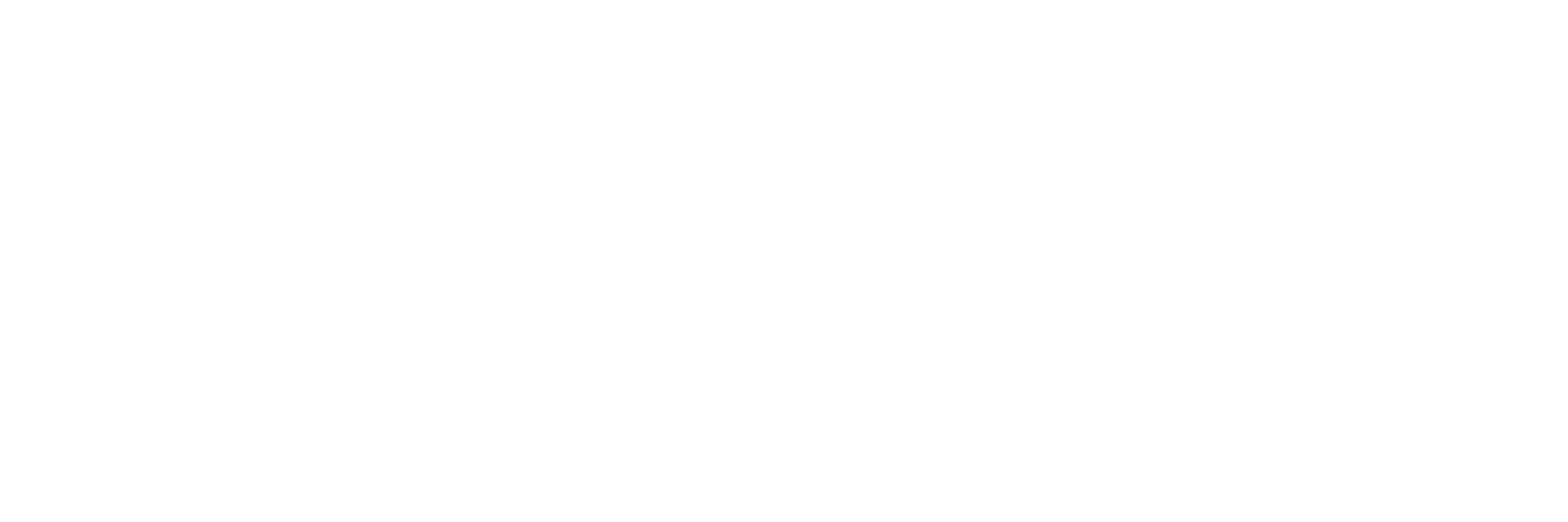 Auburn University Logo